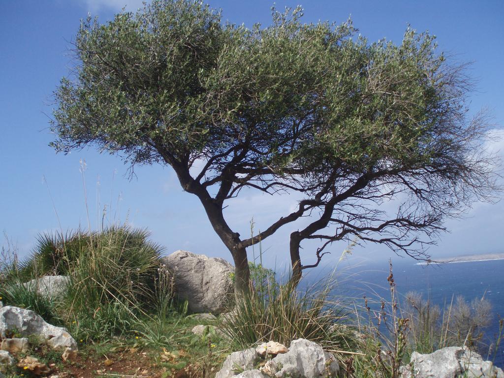 Baia Cofano Home Custonaci Buitenkant foto